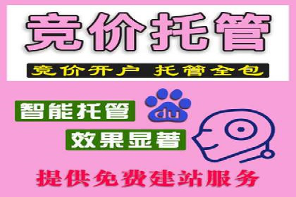 百度SEO推广公司案例分享：实战优化策略解析